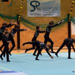 Píseckou sportovní halu zaplnil Teamgym