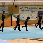 Píseckou sportovní halu zaplnil Teamgym