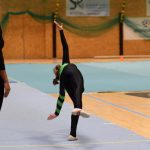 Píseckou sportovní halu zaplnil Teamgym