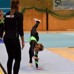 Píseckou sportovní halu zaplnil Teamgym