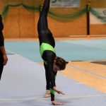 Píseckou sportovní halu zaplnil Teamgym