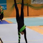 Píseckou sportovní halu zaplnil Teamgym