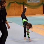 Píseckou sportovní halu zaplnil Teamgym