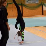 Píseckou sportovní halu zaplnil Teamgym