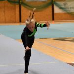 Píseckou sportovní halu zaplnil Teamgym