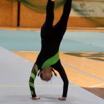 Píseckou sportovní halu zaplnil Teamgym