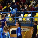 Píseckou sportovní halu zaplnil Teamgym