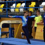 Píseckou sportovní halu zaplnil Teamgym