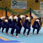 Píseckou sportovní halu zaplnil Teamgym