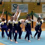 Píseckou sportovní halu zaplnil Teamgym