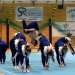 Píseckou sportovní halu zaplnil Teamgym