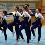Píseckou sportovní halu zaplnil Teamgym