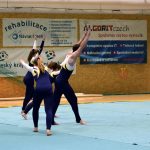 Píseckou sportovní halu zaplnil Teamgym