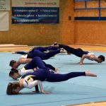 Píseckou sportovní halu zaplnil Teamgym