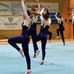 Píseckou sportovní halu zaplnil Teamgym