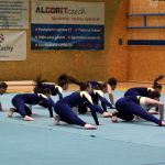 Píseckou sportovní halu zaplnil Teamgym