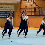 Píseckou sportovní halu zaplnil Teamgym