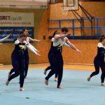 Píseckou sportovní halu zaplnil Teamgym