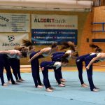 Píseckou sportovní halu zaplnil Teamgym