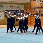 Píseckou sportovní halu zaplnil Teamgym