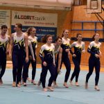 Píseckou sportovní halu zaplnil Teamgym