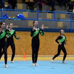 Píseckou sportovní halu zaplnil Teamgym