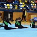 Píseckou sportovní halu zaplnil Teamgym