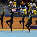 Píseckou sportovní halu zaplnil Teamgym