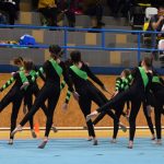 Píseckou sportovní halu zaplnil Teamgym