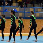 Píseckou sportovní halu zaplnil Teamgym