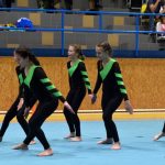 Píseckou sportovní halu zaplnil Teamgym