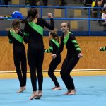 Píseckou sportovní halu zaplnil Teamgym