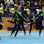 Píseckou sportovní halu zaplnil Teamgym