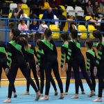 Píseckou sportovní halu zaplnil Teamgym