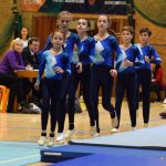 Píseckou sportovní halu zaplnil Teamgym