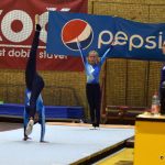 Píseckou sportovní halu zaplnil Teamgym