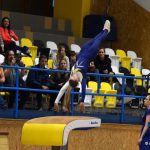 Píseckou sportovní halu zaplnil Teamgym