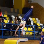 Píseckou sportovní halu zaplnil Teamgym