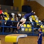 Píseckou sportovní halu zaplnil Teamgym