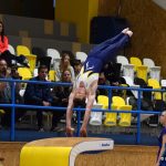 Píseckou sportovní halu zaplnil Teamgym