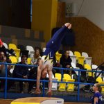 Píseckou sportovní halu zaplnil Teamgym