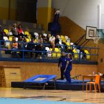 Píseckou sportovní halu zaplnil Teamgym