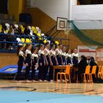 Píseckou sportovní halu zaplnil Teamgym