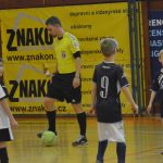 Přípravka Volenic opět kralovala, polepšily si i Strakonice