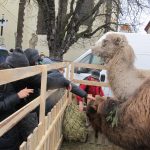 Staročeský vánoční trh zaplnil Žižkovo náměstí v Táboře
