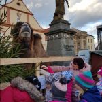 Staročeský vánoční trh zaplnil Žižkovo náměstí v Táboře