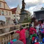 Staročeský vánoční trh zaplnil Žižkovo náměstí v Táboře
