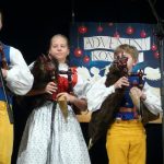 Adventní galakoncert strakonické ZUŠ nadchl zcela zaplněný sál
