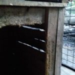 Policejnímu psovodovi shořelo u Milevska vybavení kynologického klubu. Psi se zachránili