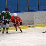 Hokej: Vimperský turnaj ročníku 2010 vyhrál Český Krumlov
